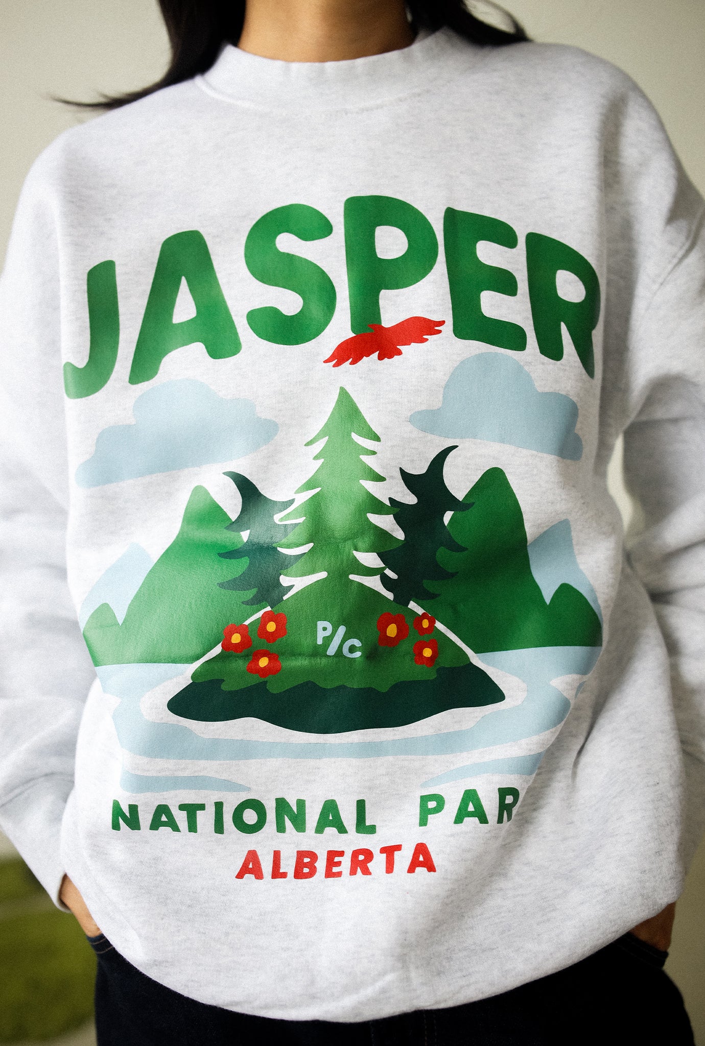 Jasper National Park Crewneck - Ash - Image 3
