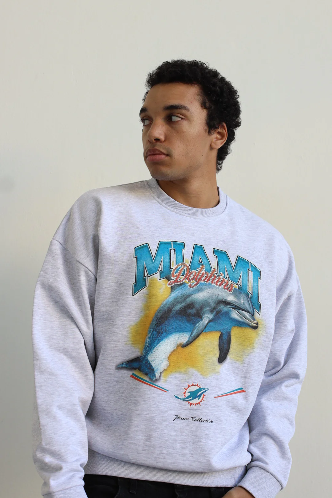 Miami Dolphins Mascot SuperHeavy™️ Crewneck - Ash - Image 4