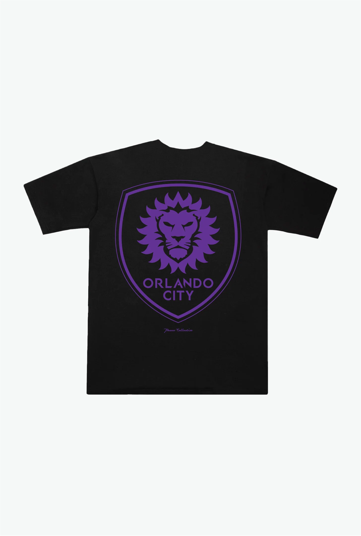 Orlando City SC Essentials Heavyweight T-Shirt - Black - Image 2