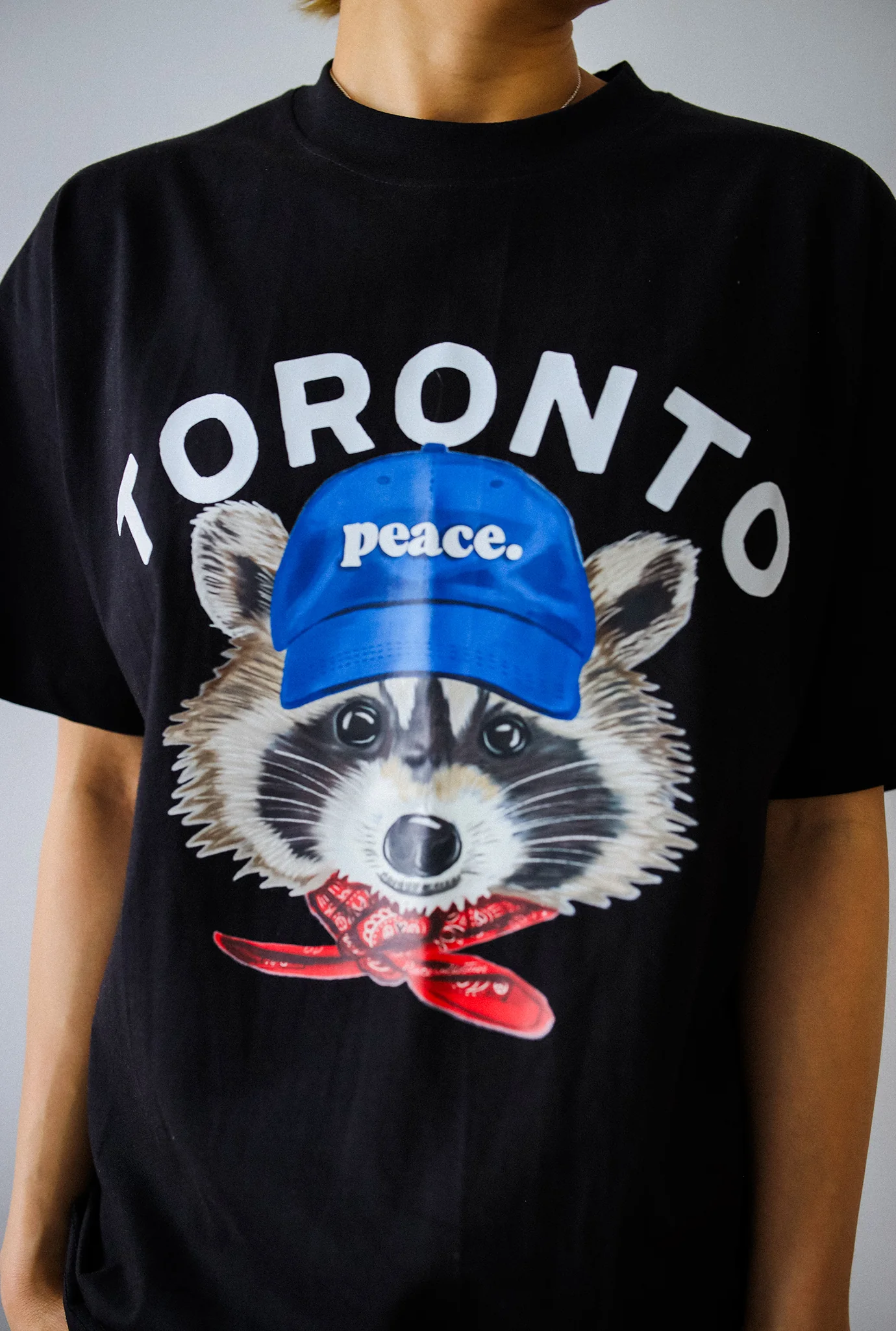 Toronto Trash Teddy Heavyweight T-Shirt - Black - Image 2