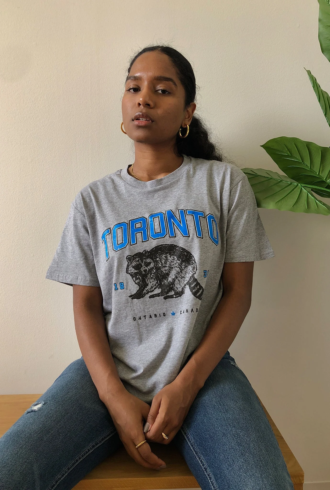 Toronto Vintage Raccoon T-Shirt - Grey - Image 3